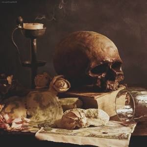 Meet your Posher, Jo ellen